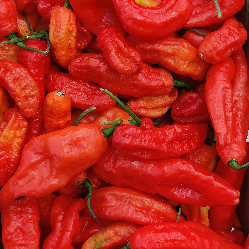Real peach + ghost pepper.